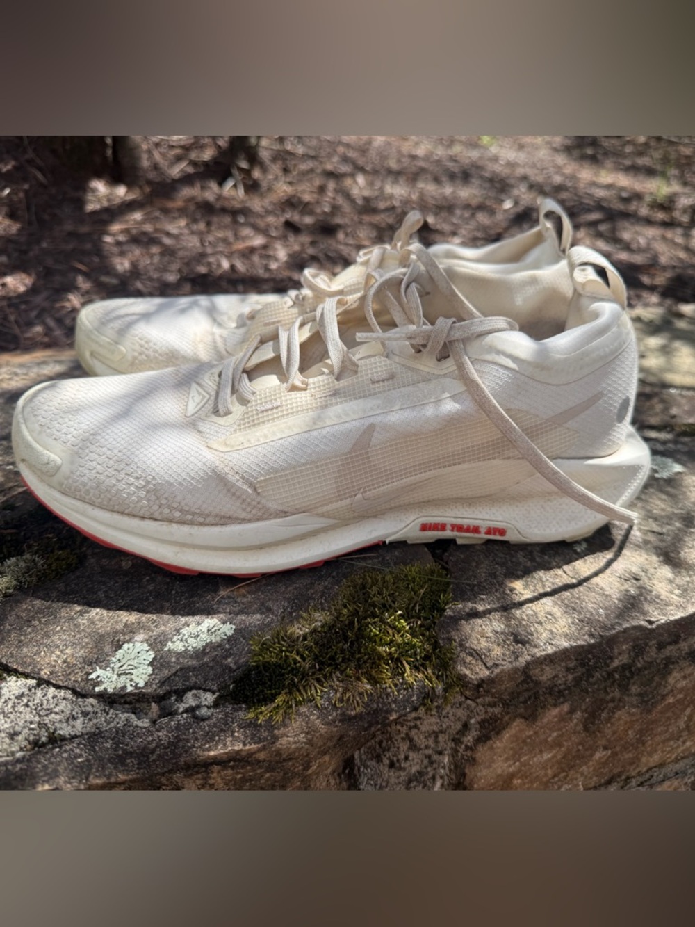 Nike Pegasus trail ATC